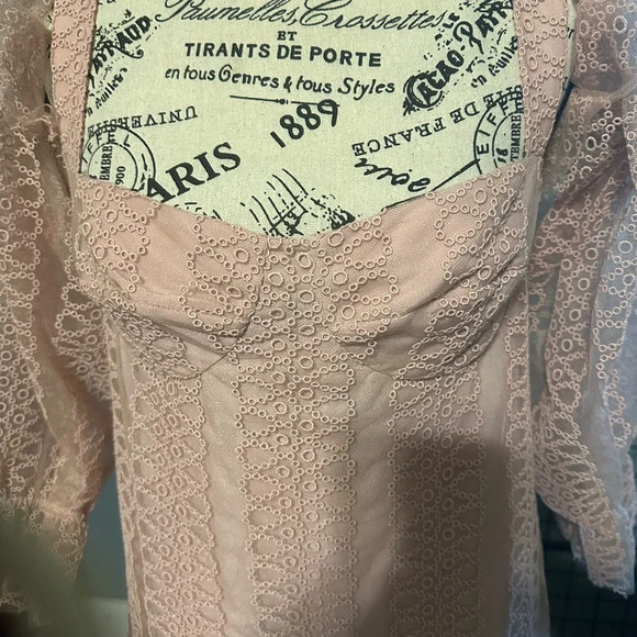 Burberry Blush Pink Lace Mini Dress - Picture 4 of 12